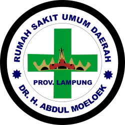 RS Abdul Moeloek